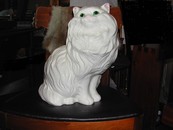 Cat Fancy
